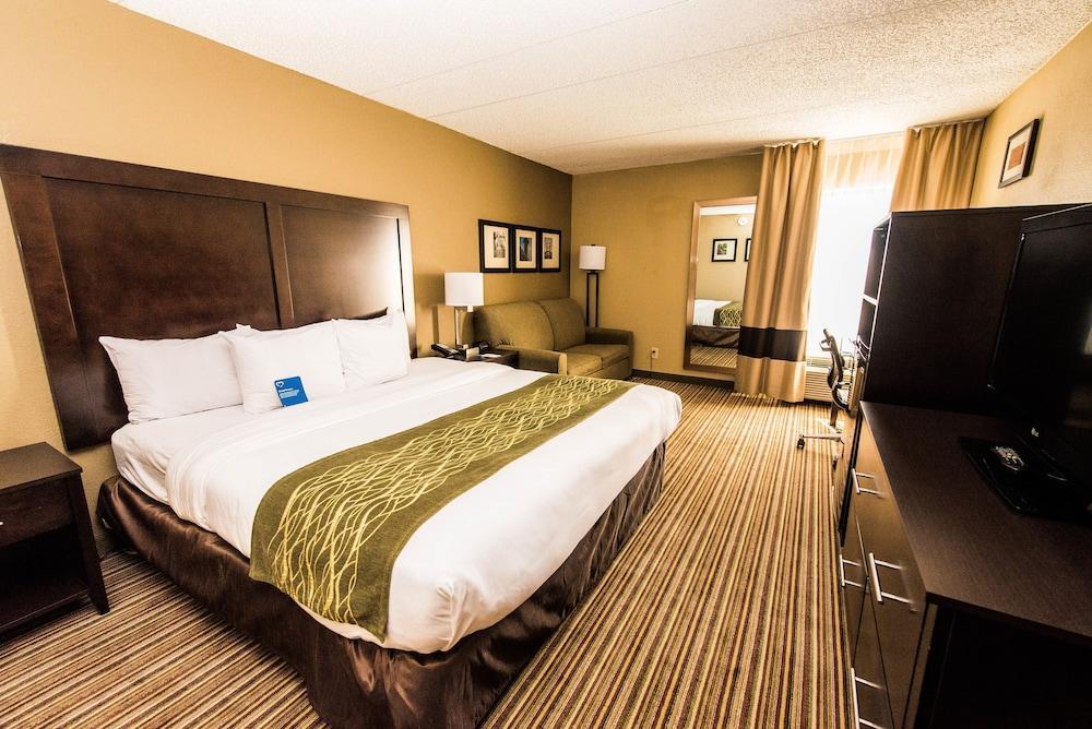 Comfort Inn Lehigh Valley West Fogelsville Buitenkant foto