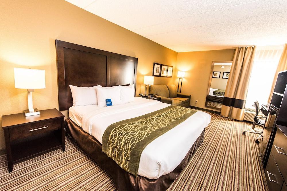 Comfort Inn Lehigh Valley West Fogelsville Buitenkant foto